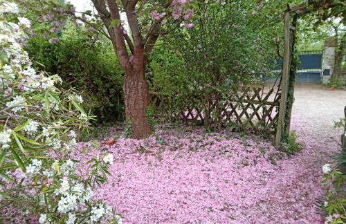 Cottage Les Quatre Saisons - Foto 31