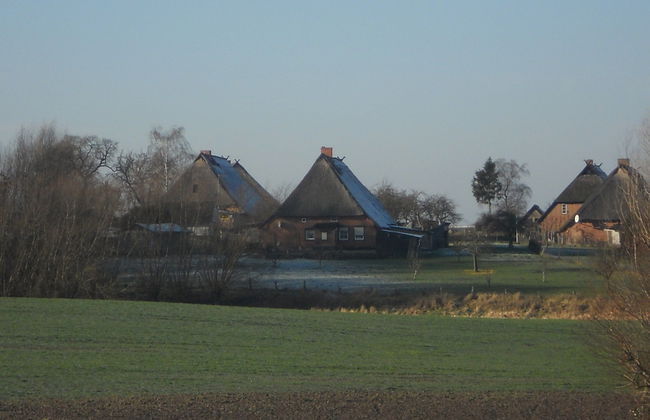 Cozy Apartment in Boltenhagen Germany near Beach - Photo 15