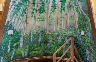 TeePee at Paradise Point with a hot tub fire pit & grill - Foto 19