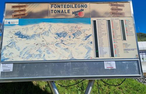 BMP APARTMENT EDELWEISS PASSO DEL TONALE - Foto 5