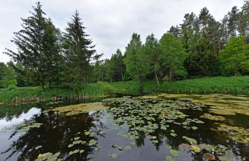Agrodomek nad stawem - Foto 12
