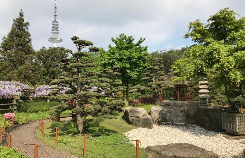 The Suites City Lofts at the Park - Photo 31