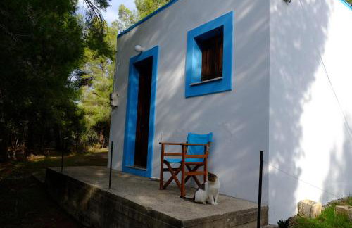 little house in forest - Foto 8