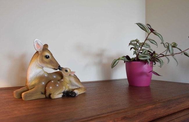 Superb Villa With a Large Garden - Photo 25