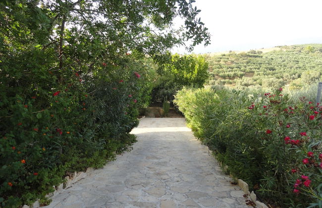 Villa Dafni - Foto 47