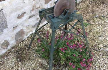 Les 3 tilleuls - Foto 32