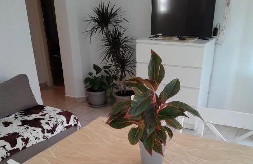 Apartments Viganj - Foto 20