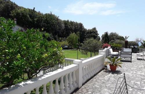 Appartamento in Villa Venezuela piano Terra - Foto 23