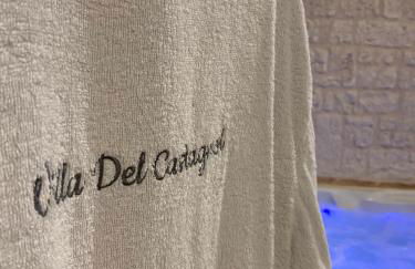 VILLA DEL CASTAGNOL - Foto 23