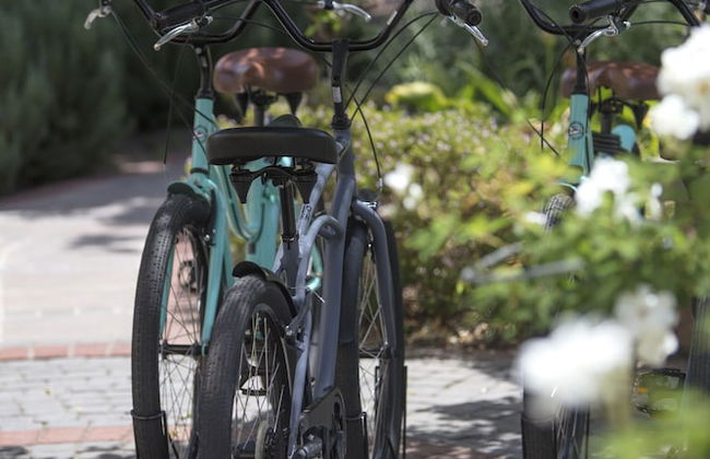 Franschhoek Country House and Villas - Photo 46