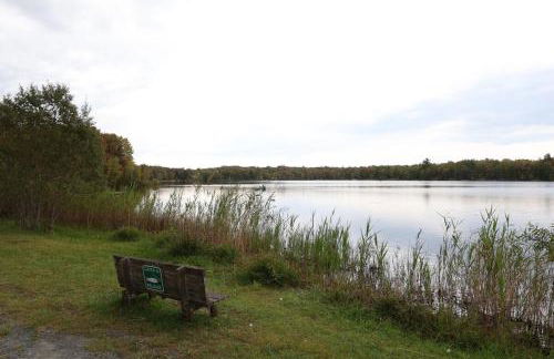 Creekside Family Dreamland - Hot Tub, Firepit, Arcade - Foto 57