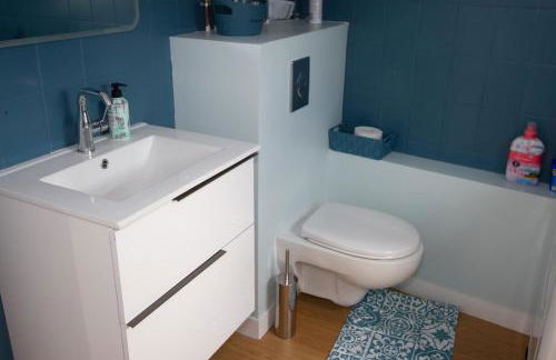 Les Sternes - centre ville- garage - Photo 13