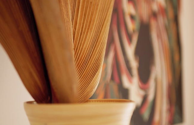 Coco Soley - Photo 16