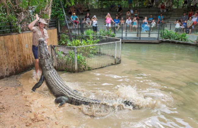 Excursion au parc Hartley's Crocodile Adventures - Photo 1