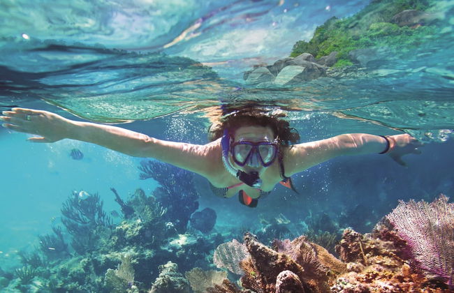 Valamar Diamant Residence - Foto 18