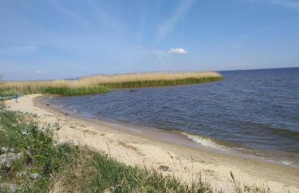 Villa Aurea - Foto 68