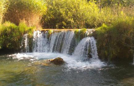 Kuća za odmor Zeleni biser - Foto 29