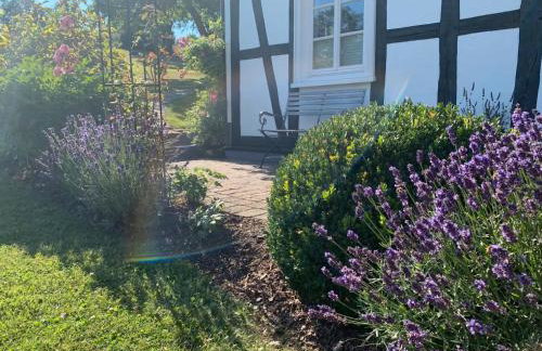 Fewo Allezeit Sauerland - Foto 7