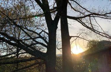 1878 Victorian Farm House near Asheville - Foto 30