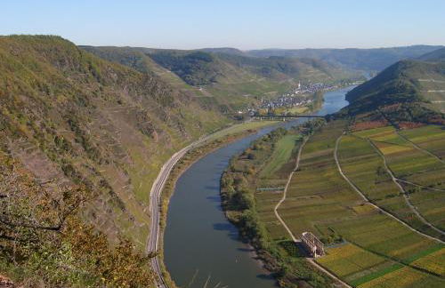 Moselblick - Foto 24