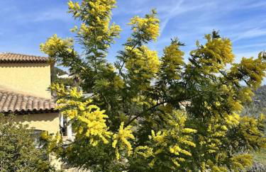 Villa Grasse vue mer exceptionnelle 8P piscine intérieure - Foto 14