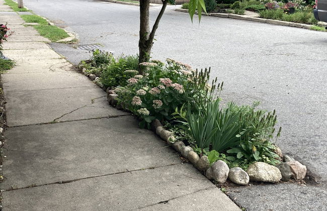 Secret Garden - Foto 52