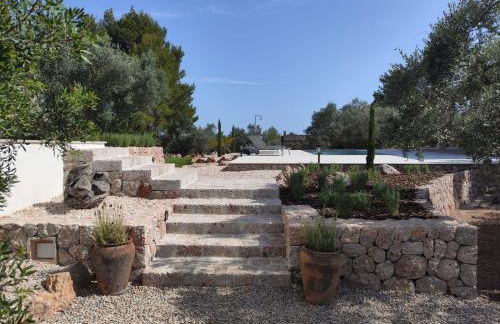 Finca Barons - Foto 7