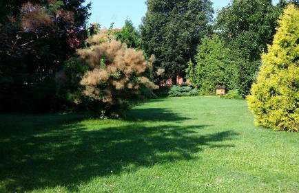 Kwiatowa Zagroda - Foto 2