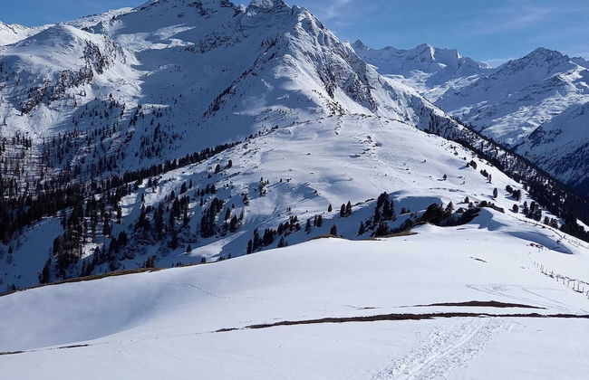 High-quality Holiday Apartment in Oberkrimml Near Waterfalls - Foto 68