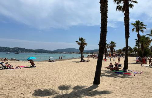 PORT GRIMAUD GOLFE ST TROPEZ BEL APPARTEMENT - Foto 31