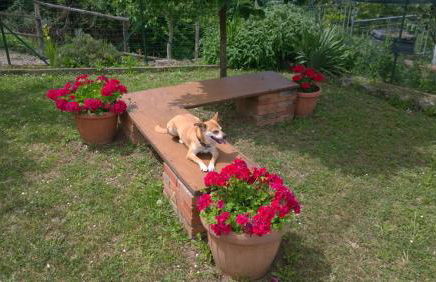 Borgo Foce La Spezia - Photo 53