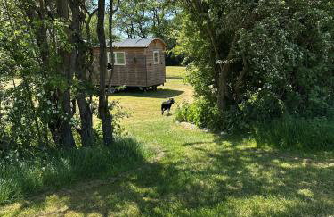 Mountbatten Shepherds hut & Buckhurst Shepherds hut - Photo 43