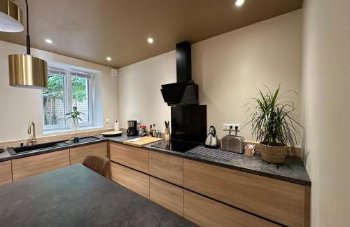 Maison 200m2- 9 chambres avec sdb - 16-18 personnes - séminaire-Proche Centre-Ville-Gare et Arena-terrasse - Foto 7