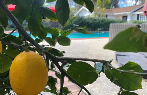 Guest house with private entry and large pool - Foto 23