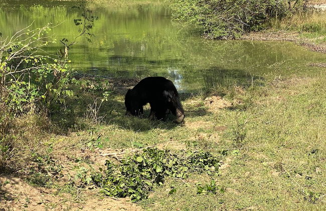 River Paradise Safari House with Cooking Class - Photo 50