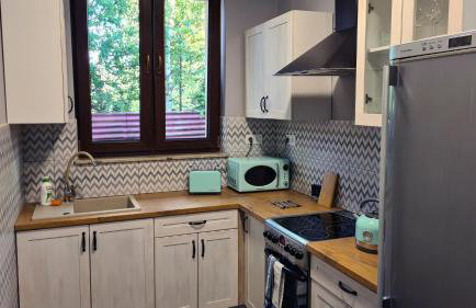 Urocze Apartamenty na Wsi - Foto 15