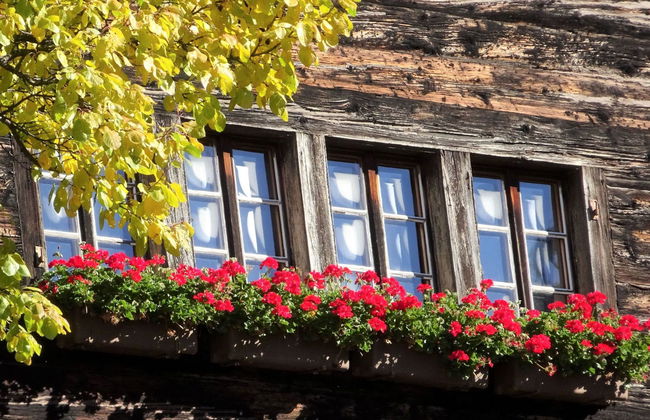 LuxLax 2. OG Süd - Foto 40