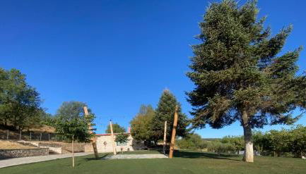 Dream House - Photo 2, Garden