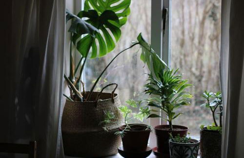 Pretty sunny cottage, Machynlleth - Photo 36
