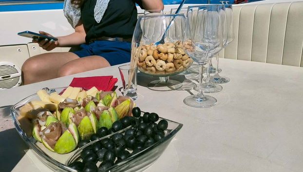 Giro in barca privata sul Lago di Garda - Foto 5