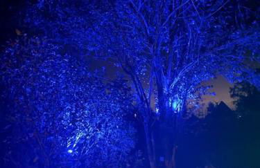 GRYT Home - Appartment L - Nähe Nordsee - Foto 28