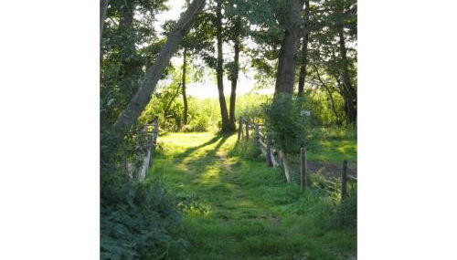 Carol's Country-House - Foto 4, Other