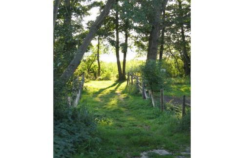 Carol's Country-House - Photo 4