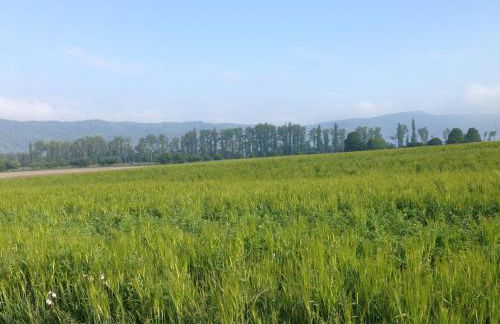 Ferienhaus Waldrand - Photo 27