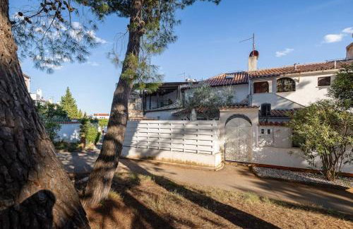 Pace e Salute - Photo 7