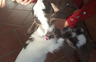 le Mas de la Jardine - Foto 78