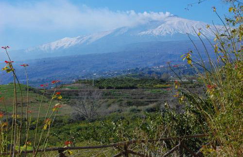 Antico Borgo Etneo Country Hotel - Foto 136