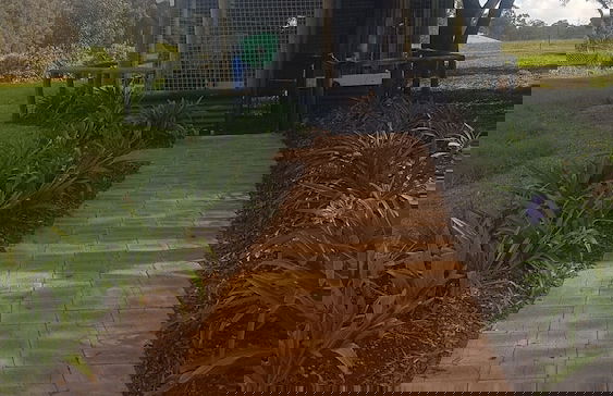 Redtail Ridge Cottages - Adults Only - Foto 14