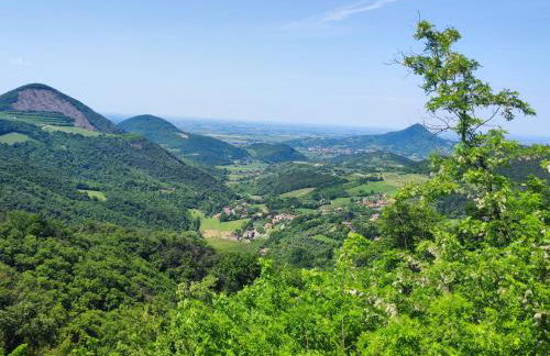 Residence Magnolia - Photo 13