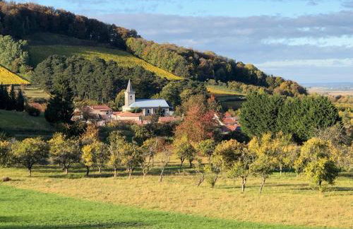 Gîte des Vignes à Viéville-sous-les-Côtes Escapade nature et patrimoine Meuse - Foto 21